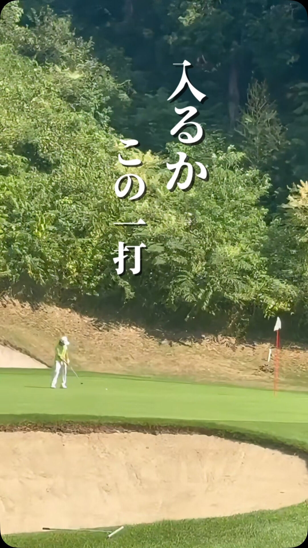 バーディーチャンス⛳️
